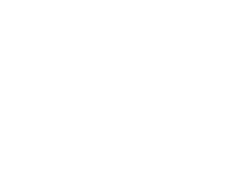 Forte Capital Group